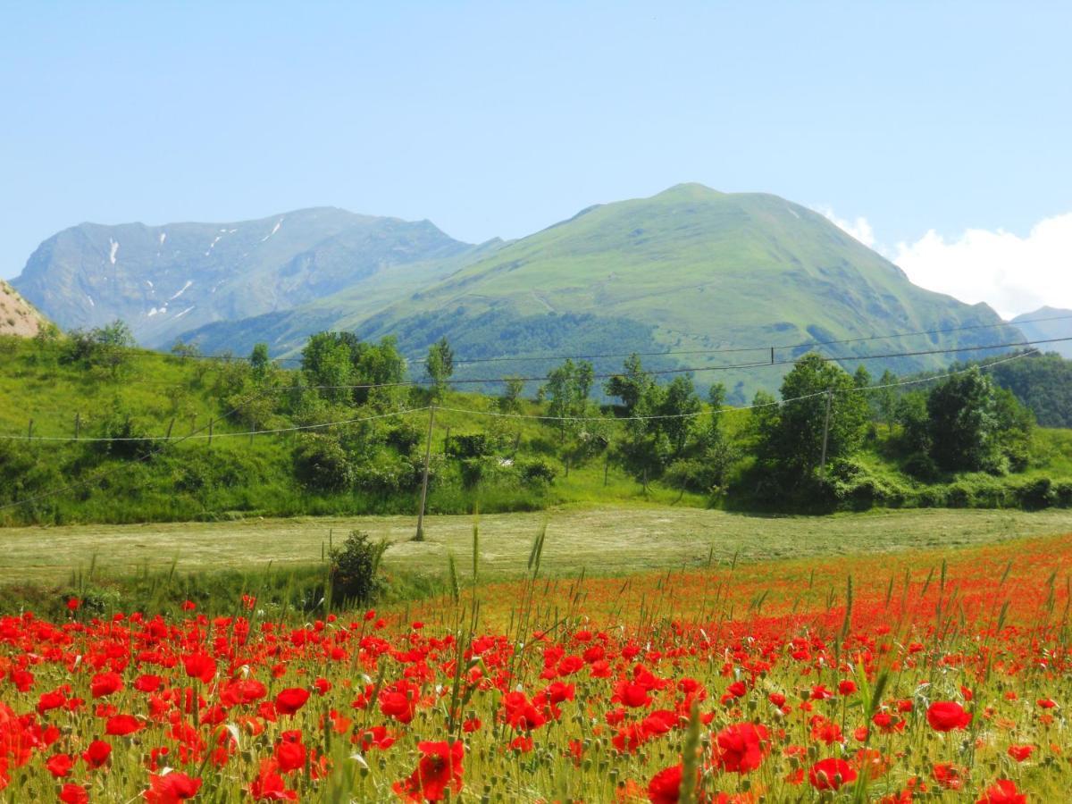 Agriturismo Le Castellare Montemonaco Exteriör bild