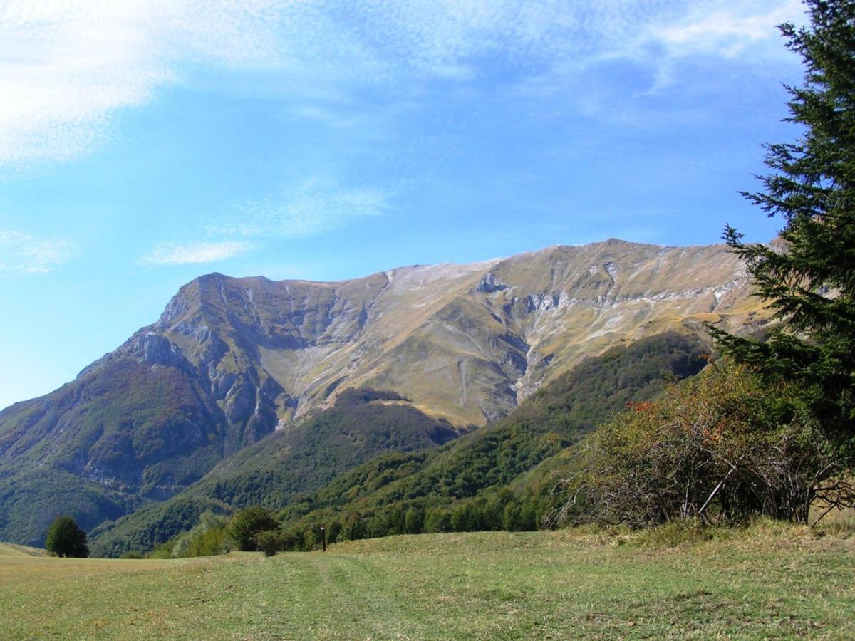 Agriturismo Le Castellare Montemonaco Exteriör bild