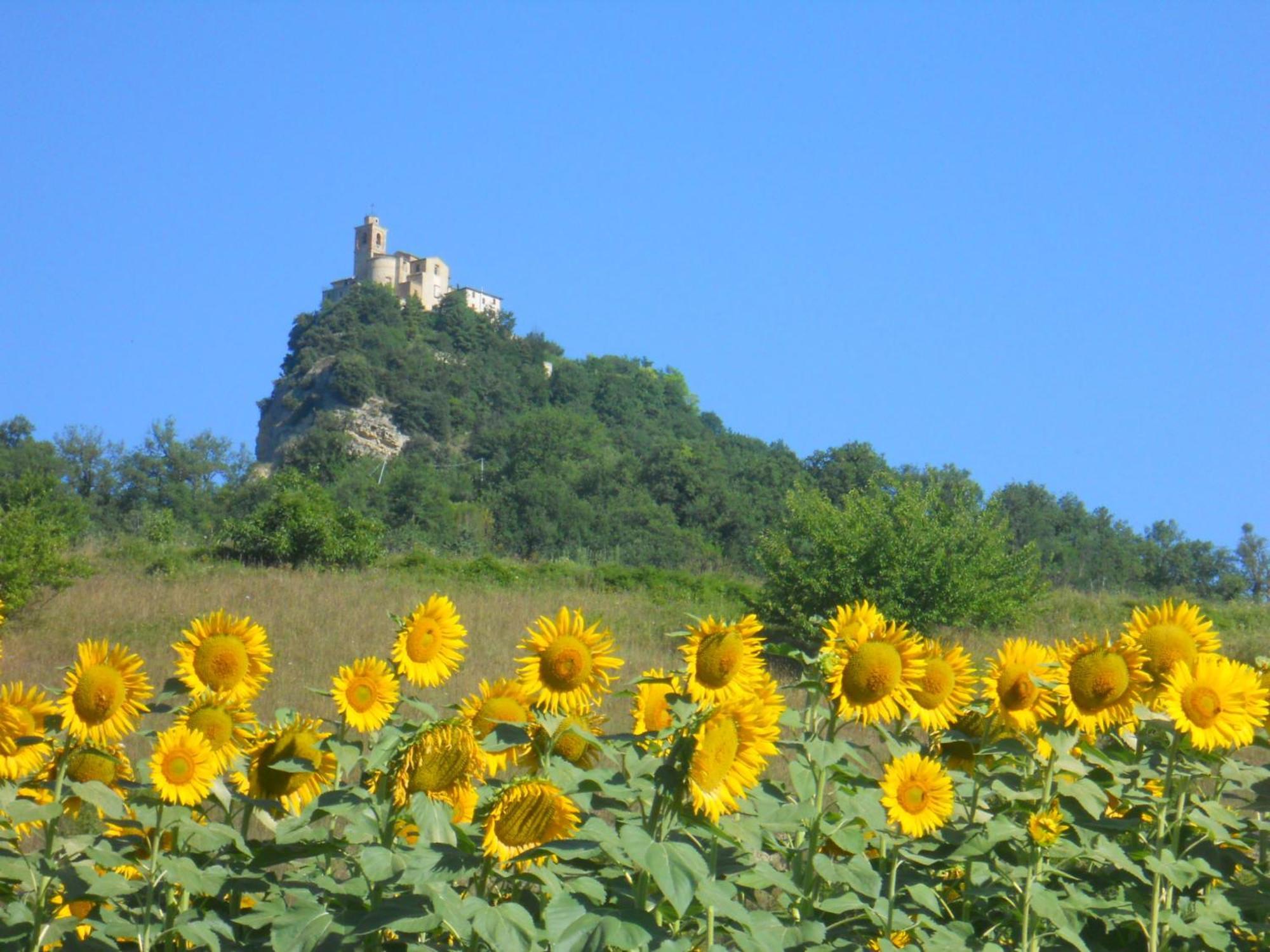 Agriturismo Le Castellare Montemonaco Exteriör bild