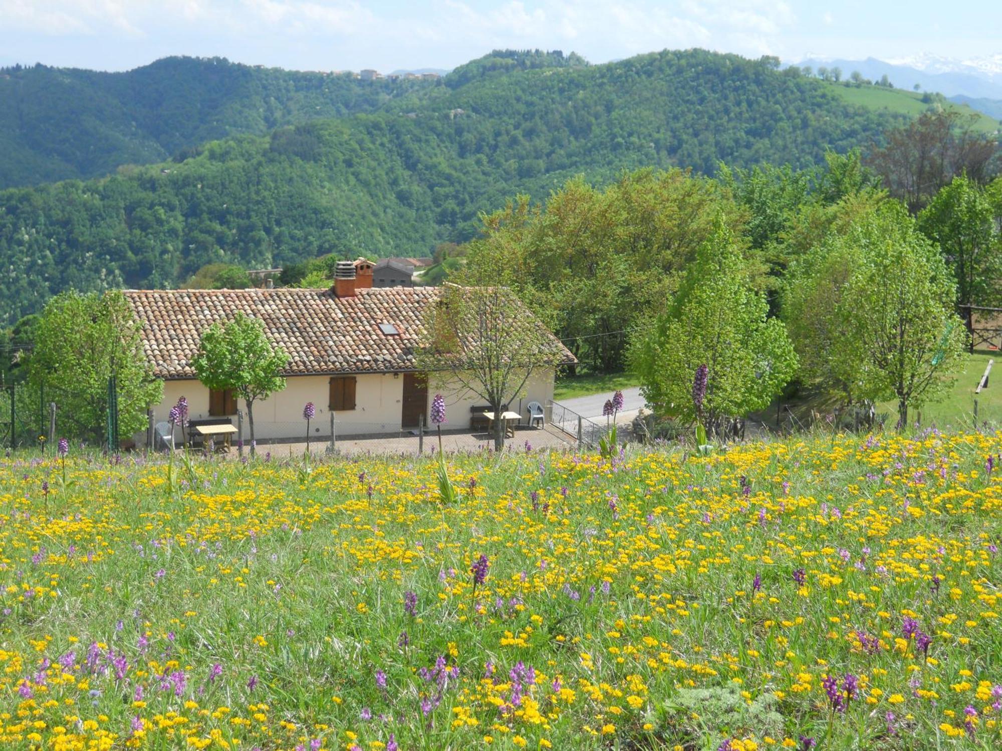 Agriturismo Le Castellare Montemonaco Exteriör bild