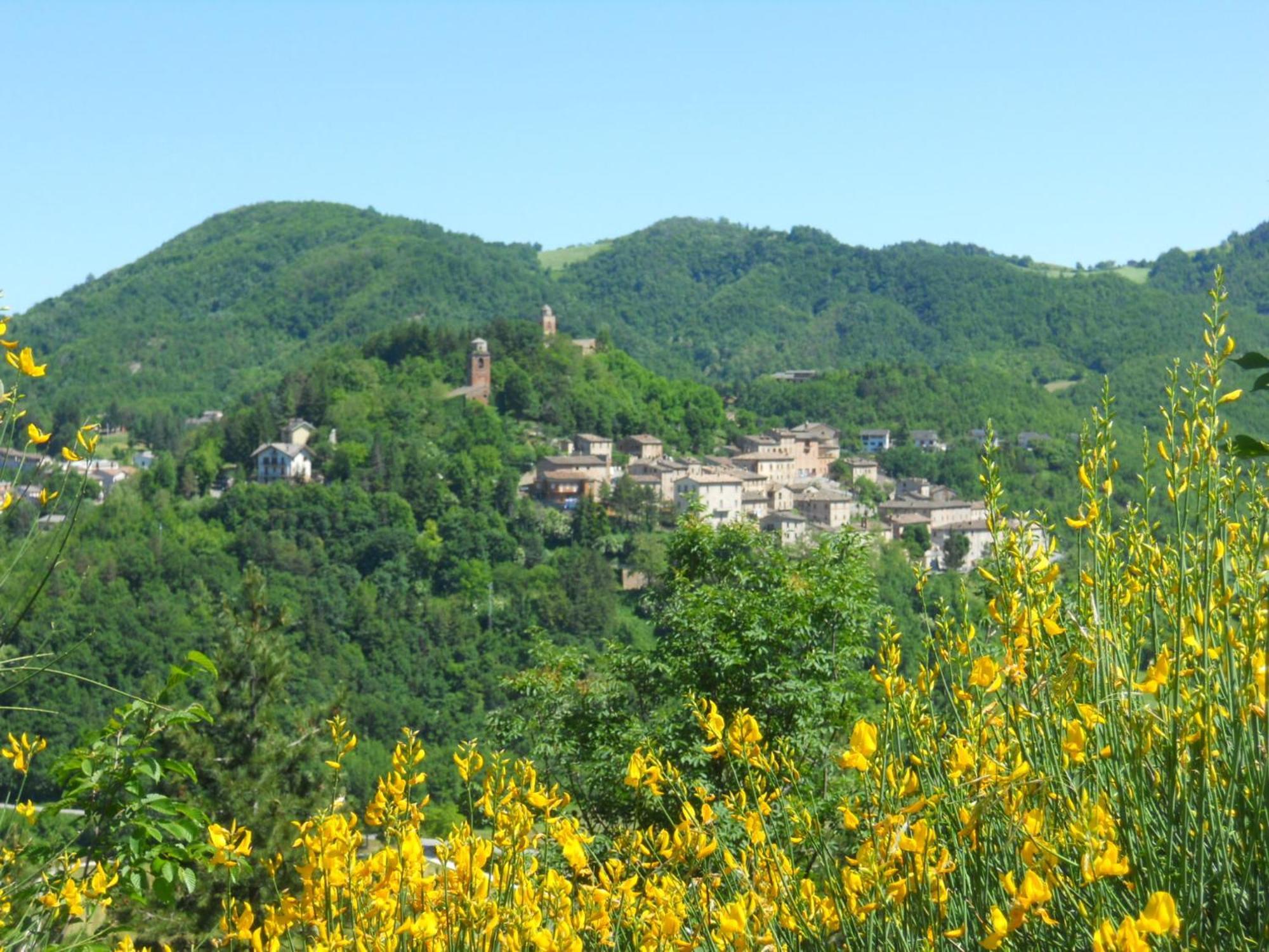 Agriturismo Le Castellare Montemonaco Exteriör bild
