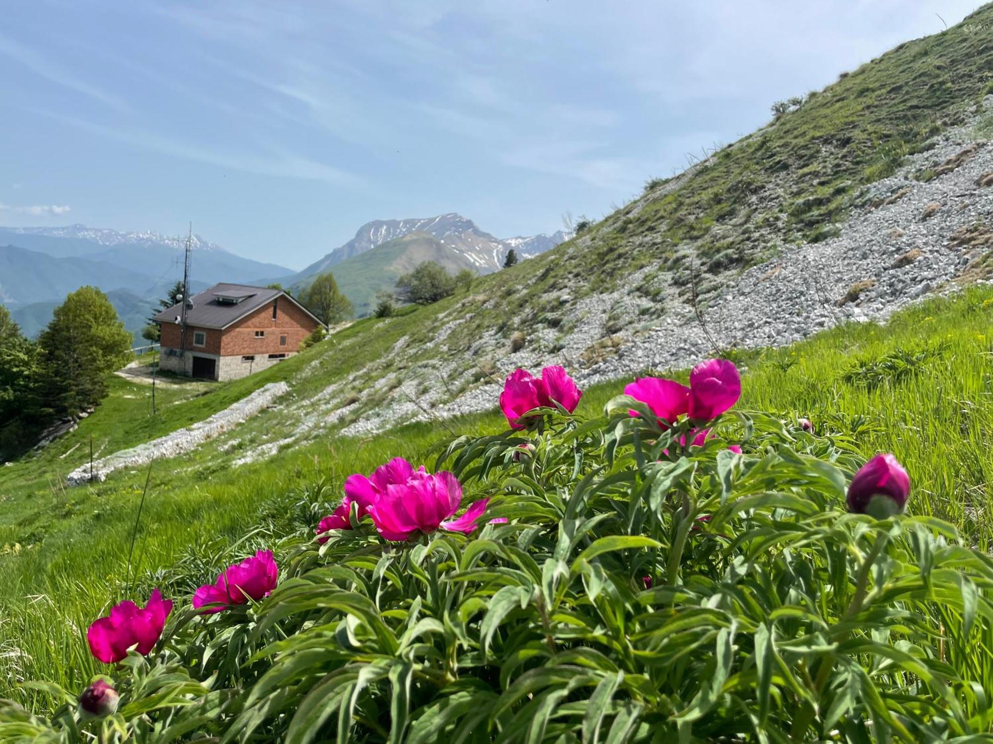 Agriturismo Le Castellare Montemonaco Exteriör bild