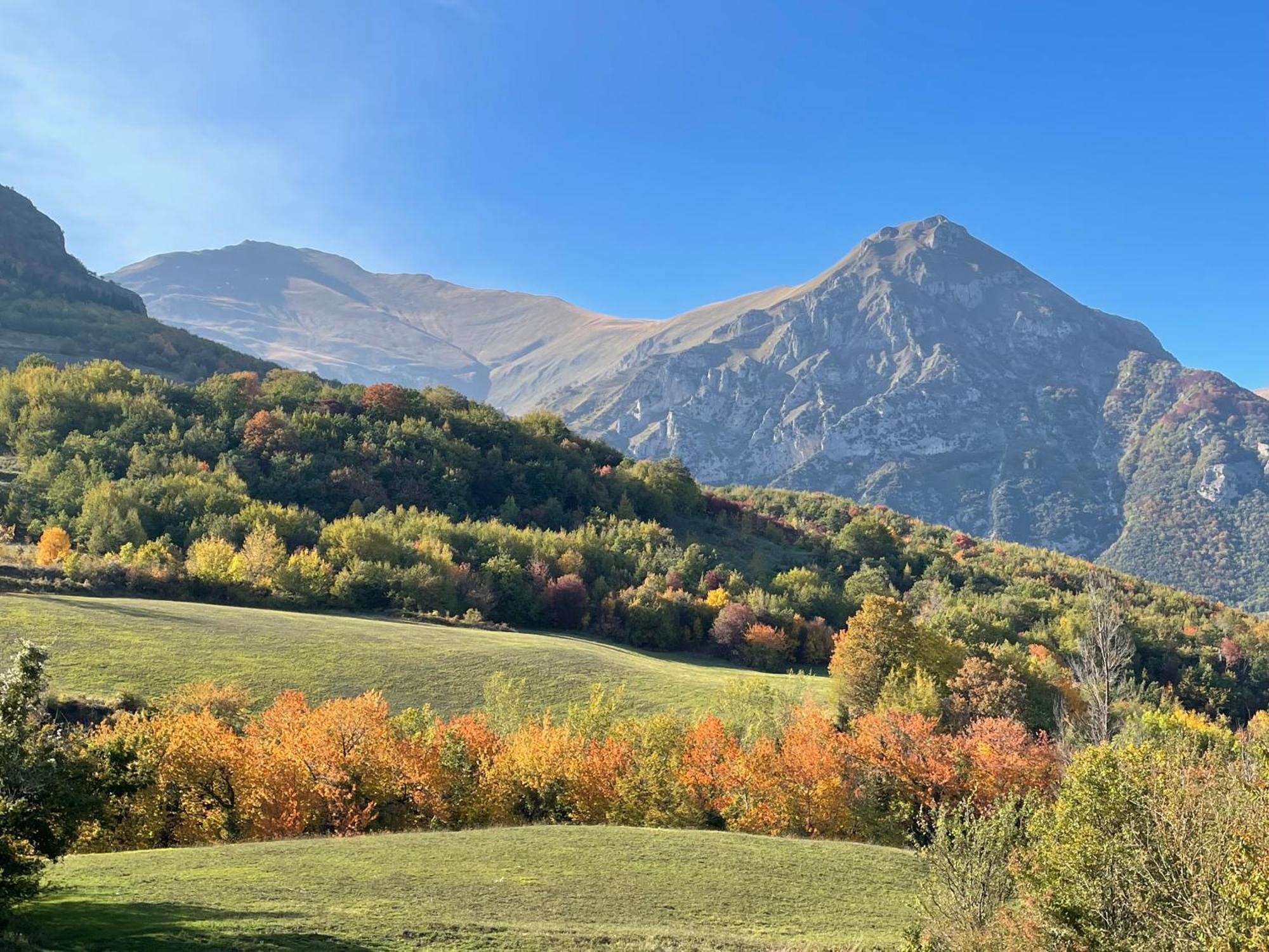Agriturismo Le Castellare Montemonaco Exteriör bild