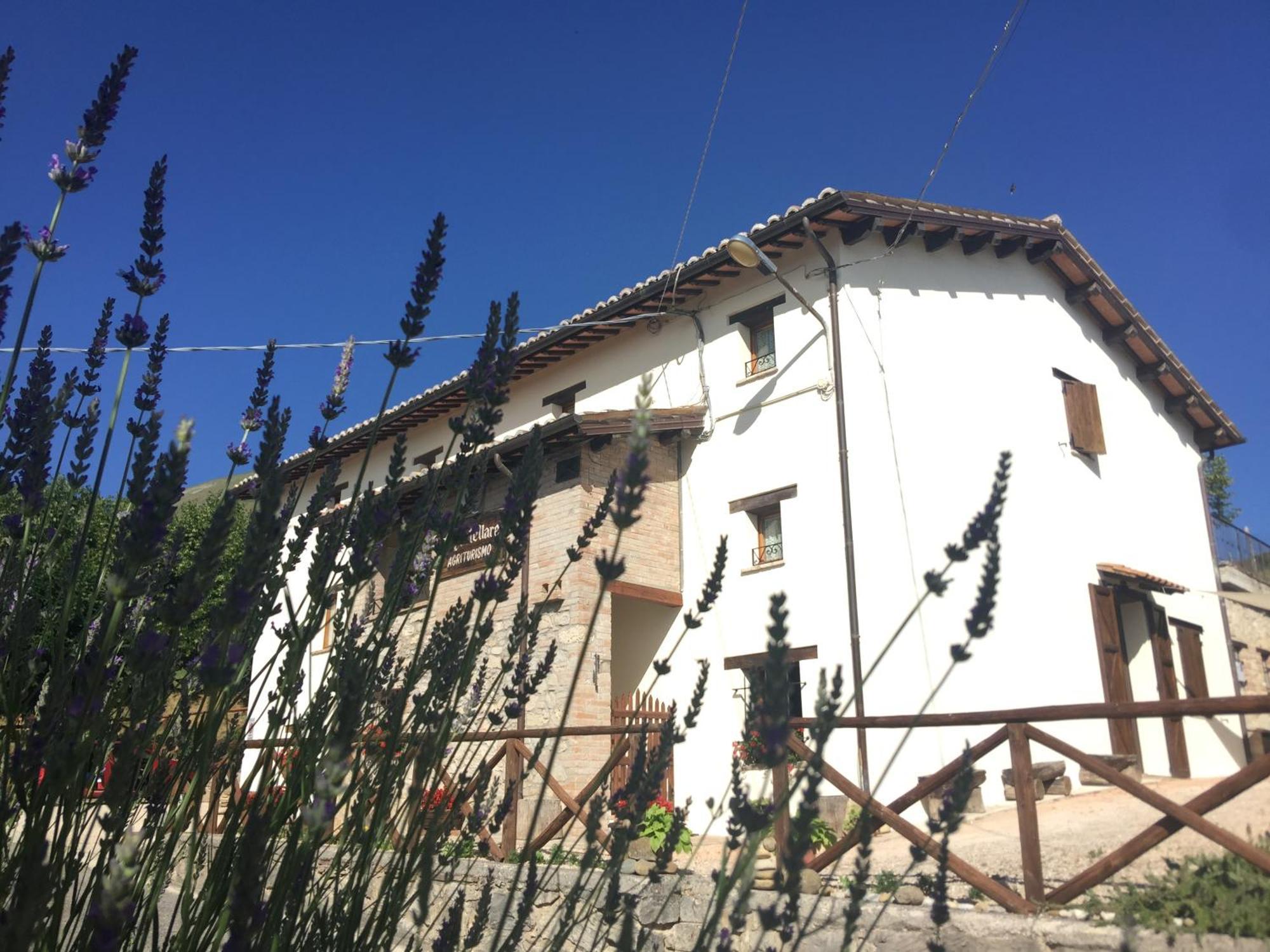 Agriturismo Le Castellare Montemonaco Exteriör bild