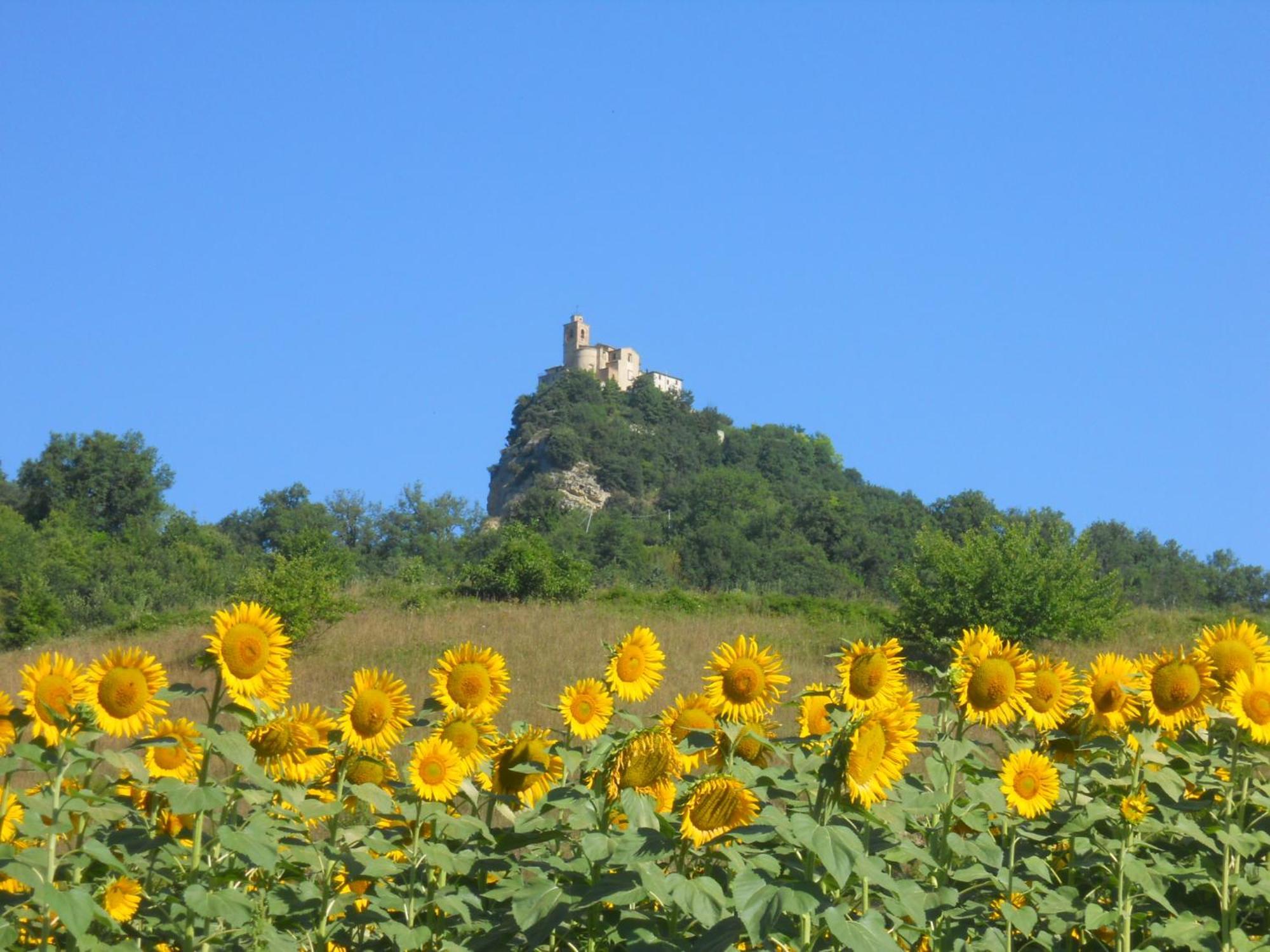 Agriturismo Le Castellare Montemonaco Exteriör bild